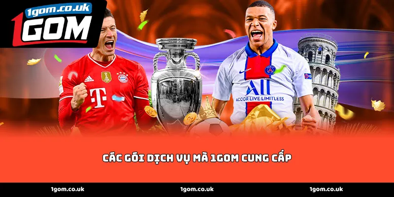 Các gói dịch vụ mà 1GOM cung cấp