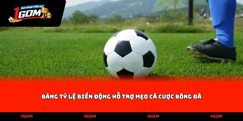 Bảng tỷ lệ biến động hỗ trợ mẹo cá cược bóng đá