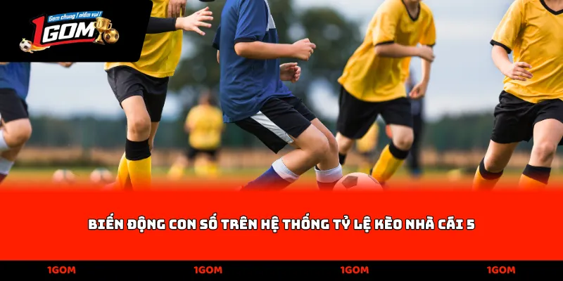 Biến động con số trên hệ thống Tỷ lệ kèo nhà cái 5