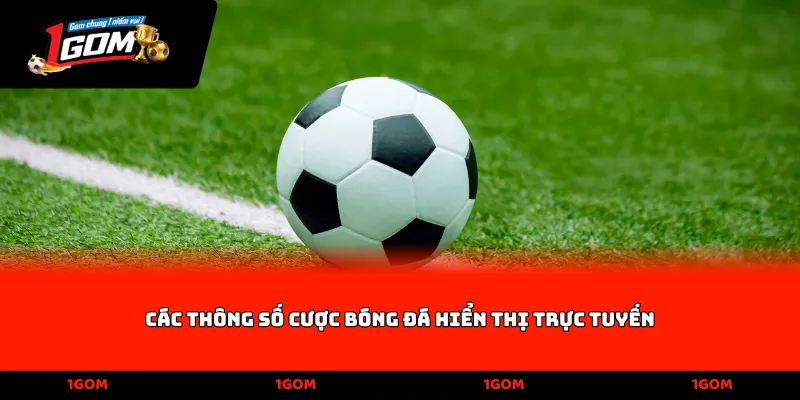 Các thông số cược bóng đá hiển thị trực tuyến